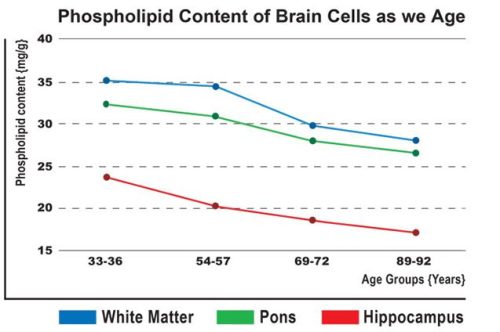 phospho-brain-chart